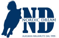 Allevamento Alaskan Malamute Nordic Dream
