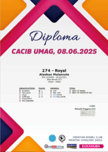 IDS Umag 2025